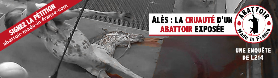 2015-10-13-abattoir-made-in-france-carrousel