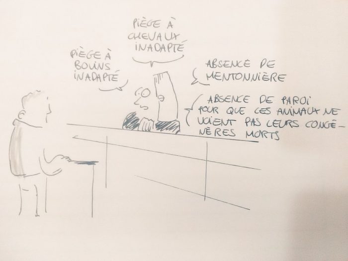 Procès des abattoirs d'Alès et de Houdan-février 2019 ...